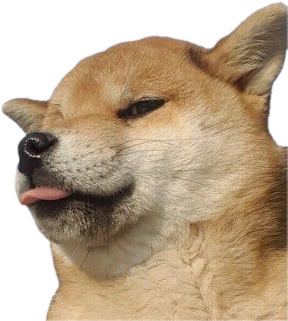 Papi, a Shiba Inu squinting smugly with the tip of his tongue out.